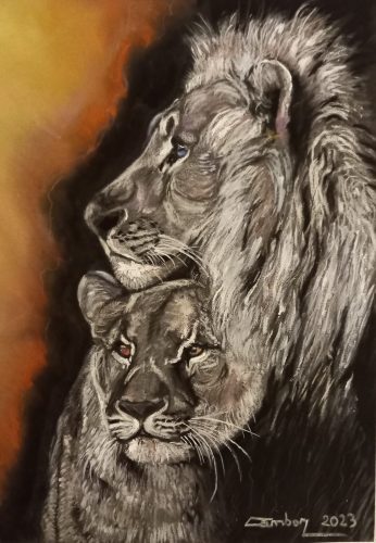 Couple lion/lionne