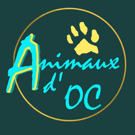 Animaux d'OC – Olivier CAMBON